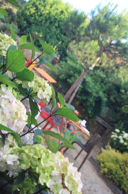 Hotel - Restaurant L'Hortensia Noyalo Dış mekan fotoğraf